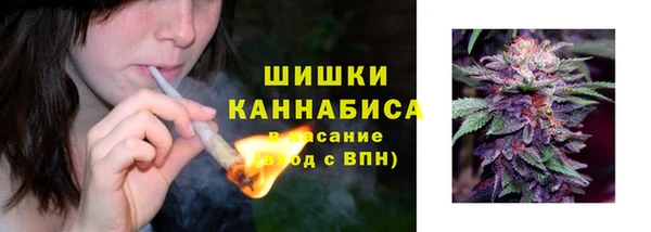 винт Баксан